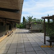 Agriturismo a Vada tra mare e campagna