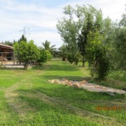 Agriturismo a Vada tra mare e campagna