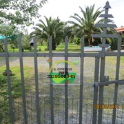 Agriturismo a Vada tra mare e campagna