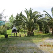 Agriturismo a Vada tra mare e campagna