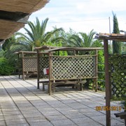 Agriturismo a Vada tra mare e campagna