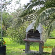 Agriturismo a Vada tra mare e campagna