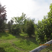 Agriturismo a Vada tra mare e campagna