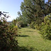 Agriturismo a Vada tra mare e campagna