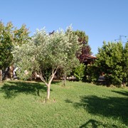 Agriturismo a Vada tra mare e campagna