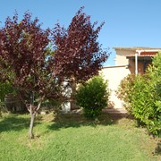 Agriturismo a Vada tra mare e campagna