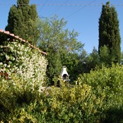Agriturismo a Vada tra mare e campagna